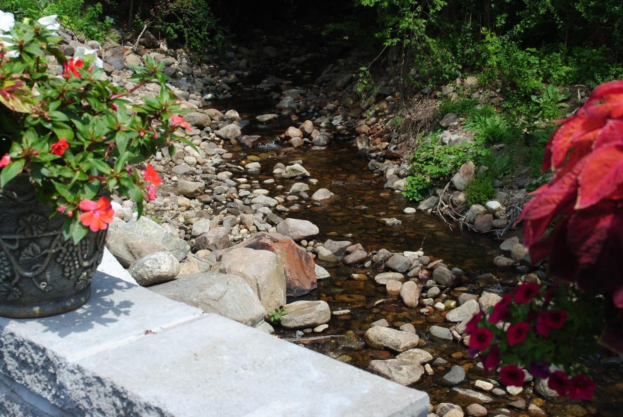 Fran Cove Motel Lake George Luaran gambar
