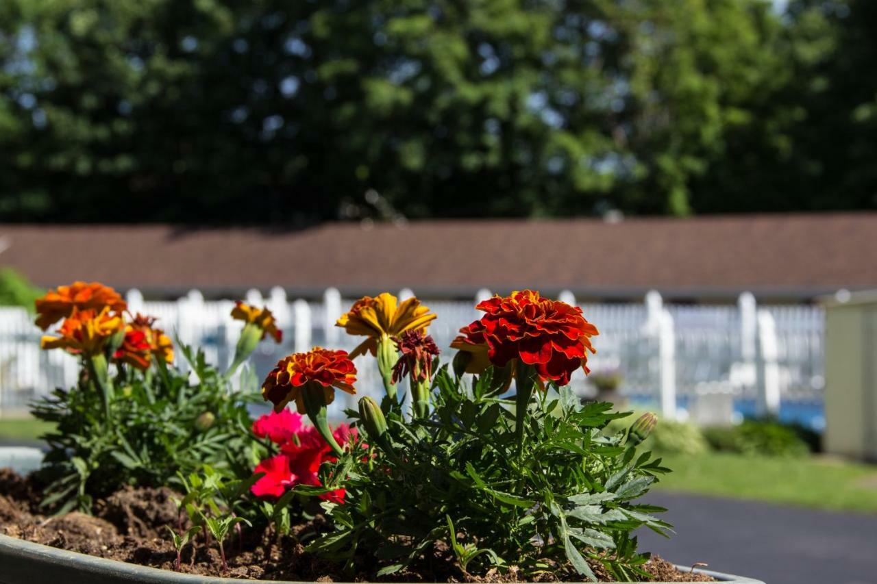 Fran Cove Motel Lake George Luaran gambar