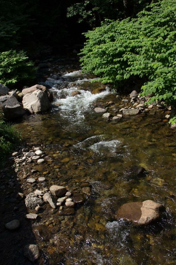 Fran Cove Motel Lake George Luaran gambar