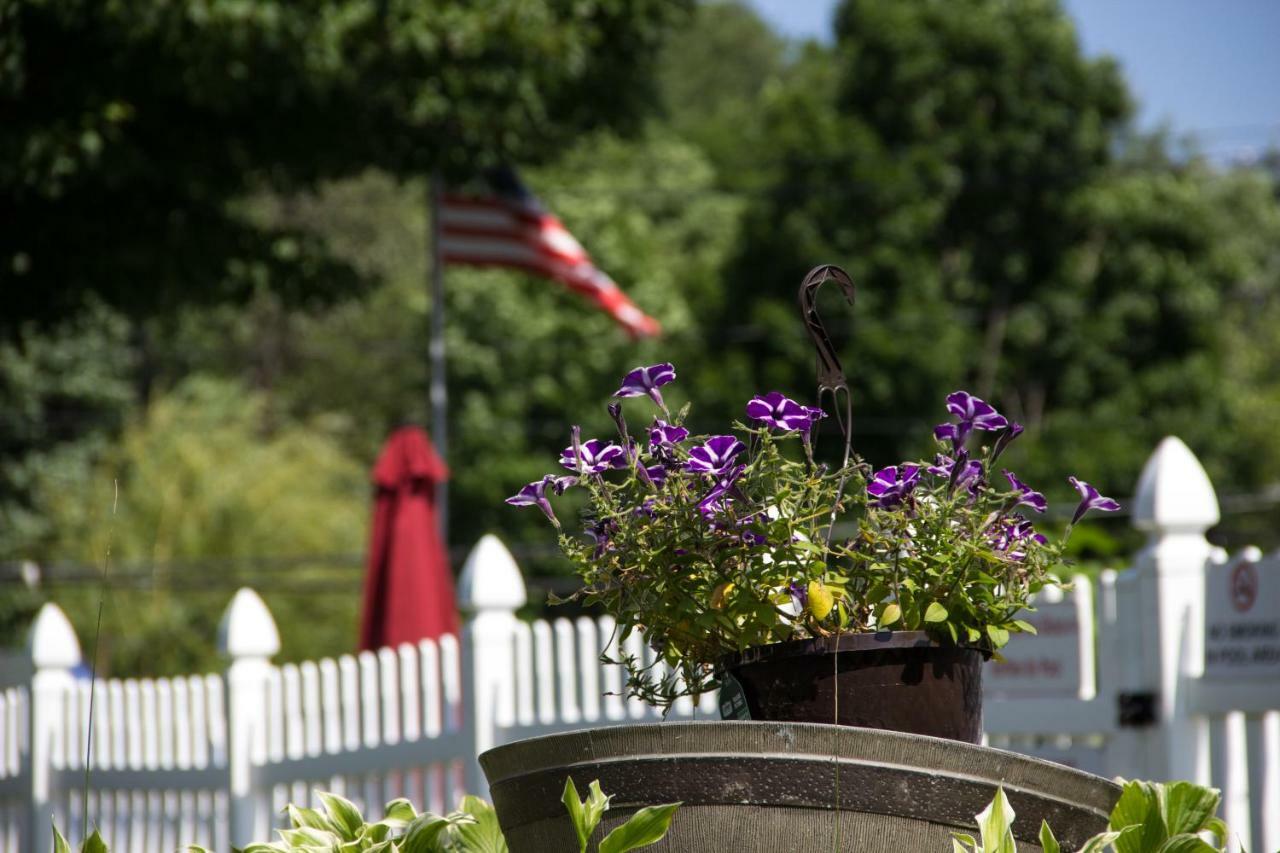Fran Cove Motel Lake George Luaran gambar